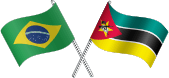 Brazil & Mozambique acquisition (2008)